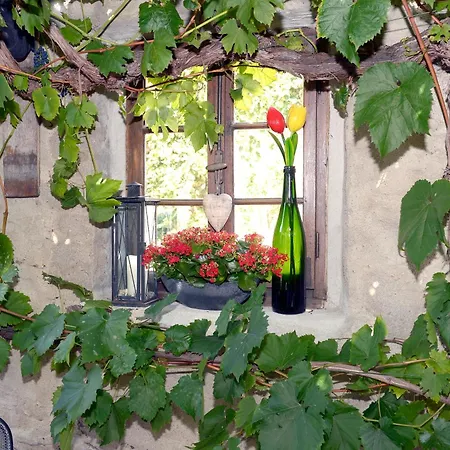 Wein- Und Gaestehaus M. Bai Casa de hóspedes Mesenich