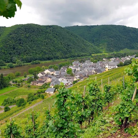 Wein- Und Gaestehaus M. Bai 3* Мезених