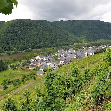 Wein- Und Gaestehaus M. Bai