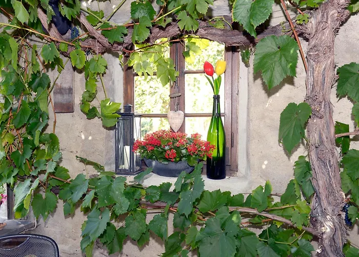 Wein- Und Gaestehaus M. Bai Maison d'hôtes Mesenich