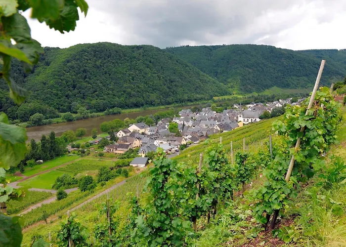 Wein- Und Gaestehaus M. Bai 3* Mesenich