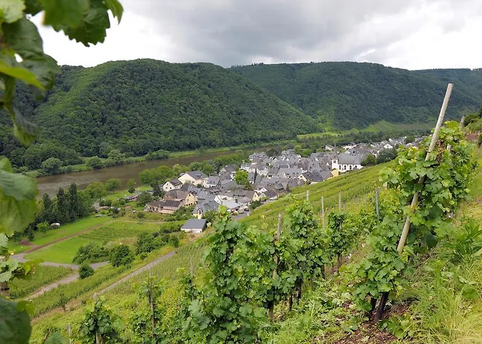 Wein- Und Gaestehaus M. Bai
